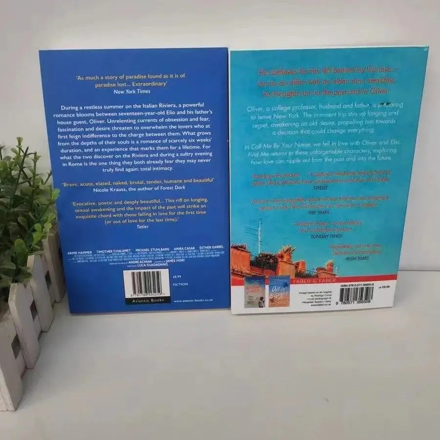 2 Books Call Me By Your Name,Find Me A Novel By Andre Aciman New York Times Bestseller Story Book Mysterious