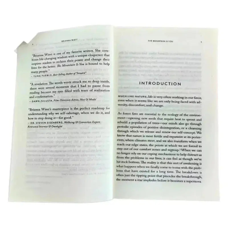 The Mountain Is You: Transforming Self-Sabotage Into Self-mastery English Books Birthday Gifts Mysterious