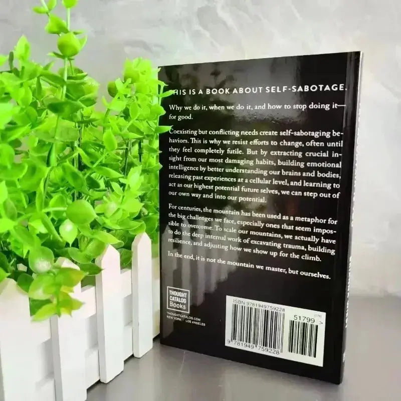 The Mountain Is You: Transforming Self-Sabotage Into Self-mastery English Books Birthday Gifts Mysterious