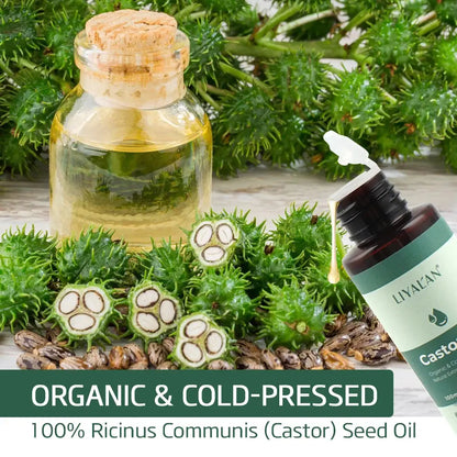 100ml Castor Oil Thicken Hair Eyelashes Eyebrows Beard Hair Growth Organic Cold-Pressed Carrier Oil Mysterious