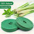 48 Scented Candles with Stand - Natural Lemongrass Fragrance for Outdoor, Swimming Pool Side, Courtyard, Porch, Deck, Camping and Hiking Mysterious