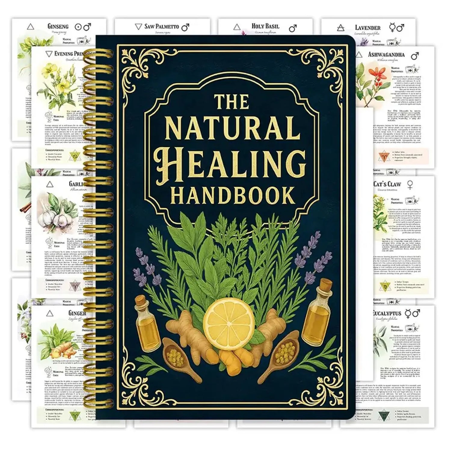 Natural Healing Handbook By Luna Filby English Edition Health Guide For Holistic Wellness And Self Care Practitioners